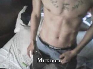 Mierdoel