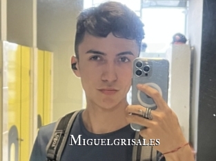 miguelgrisales cams