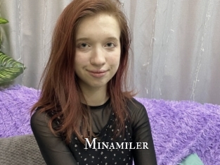 Minamiler