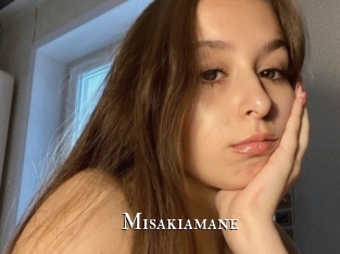 Misakiamane