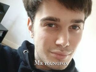 Mr_youngfox