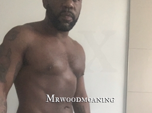 Mrwoodmoaning
