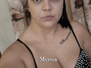 Muisor
