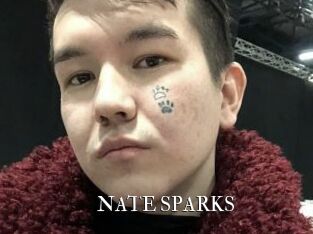 NATE_SPARKS