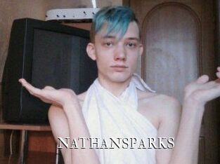 NATHAN_SPARKS