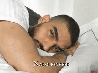 Narcisonefer