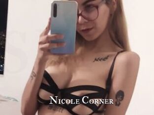 Nicole_Corner cams
