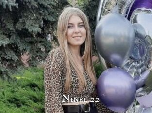 Ninel_22 cams
