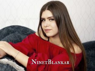 NinetBlankar