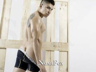 NoahFox