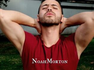 NoahMorton