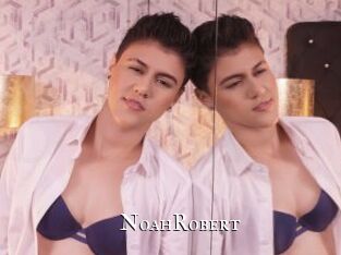 NoahRobert