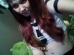 nakidturtle cams
