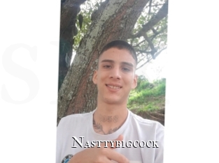Nasttybigcock