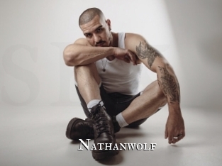 nathanwolf cams