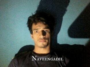 Naveengadil