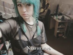 nerfherd0r cams