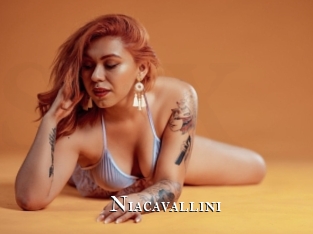 Niacavallini