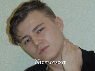 Niceboyscot