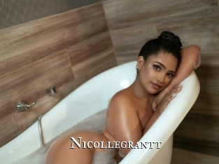 nicollegrantt cams