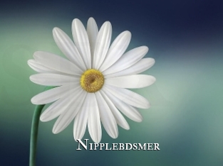 Nipplebdsmer
