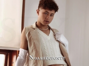 noaahdupontt cams
