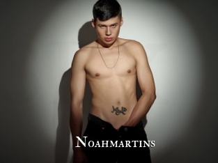 noahmartins cams