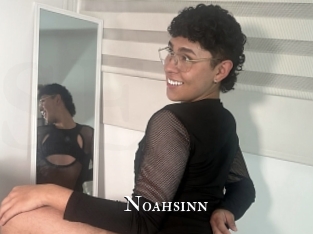 Noahsinn