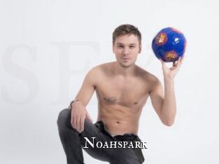 Noahspark