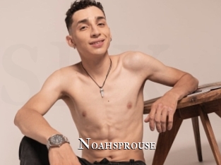 Noahsprouse