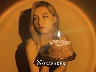 norabaker cams