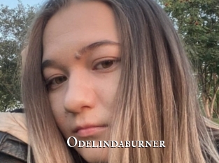 Odelindaburner
