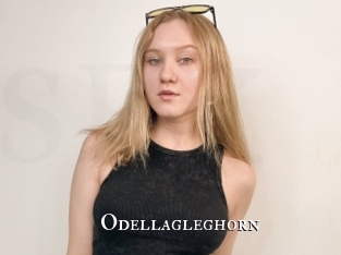 odellagleghorn cams