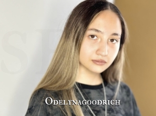 odelynagoodrich cams