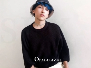 opalo_azul cams