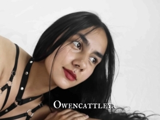 Owencattleya