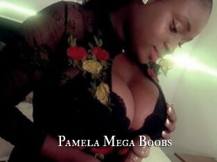 Pamela_Mega_Boobs