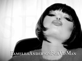 PamellaAndersonForVipMan