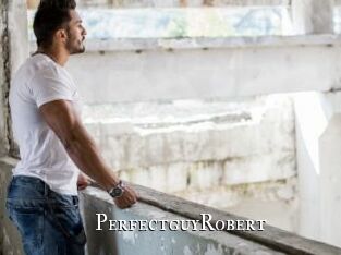 PerfectguyRobert