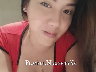 PlayfulNaughtyKc