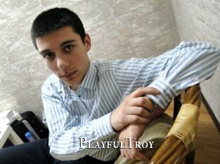 PlayfulTroy