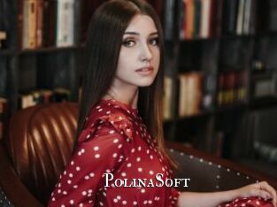 PolinaSoft
