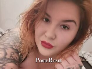 PosieRosie cams