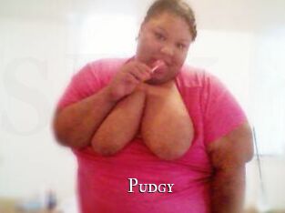 Pudgy