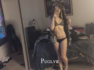 Puglvr