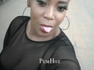 PumHot cams