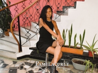 Pamelacurly
