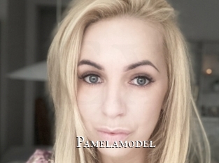 pamelamodel cams