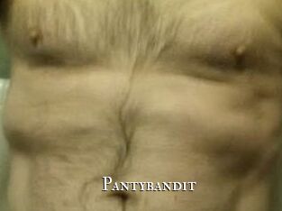 Pantybandit