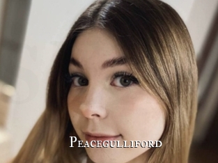 peacegulliford cams